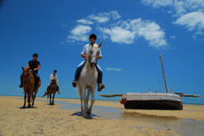 Randonn&eacute;e &eacute;questre au Mozambique - Randocheval